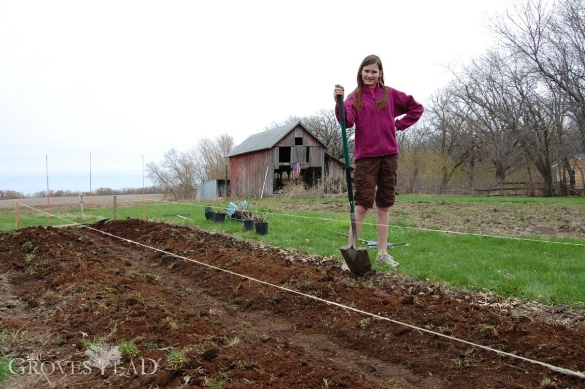 Girl standing by blueberry beds