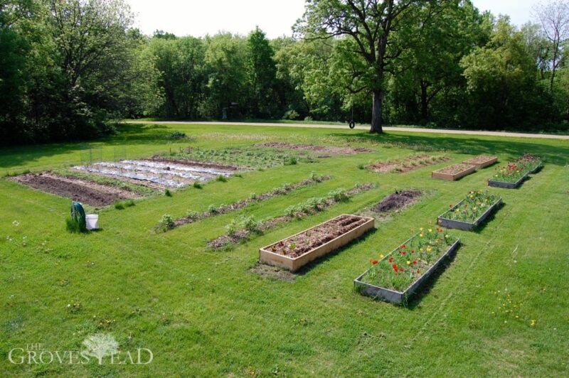 Full garden view