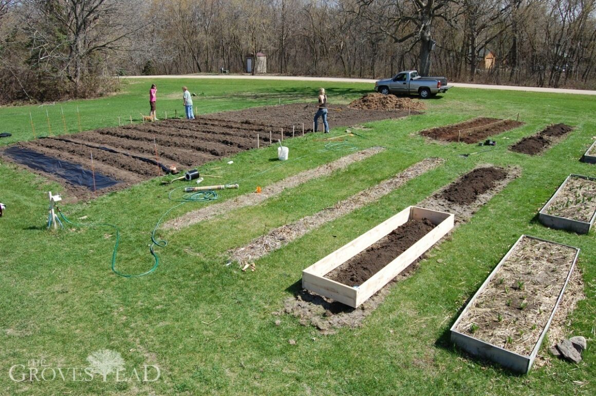 Planting days are here at last