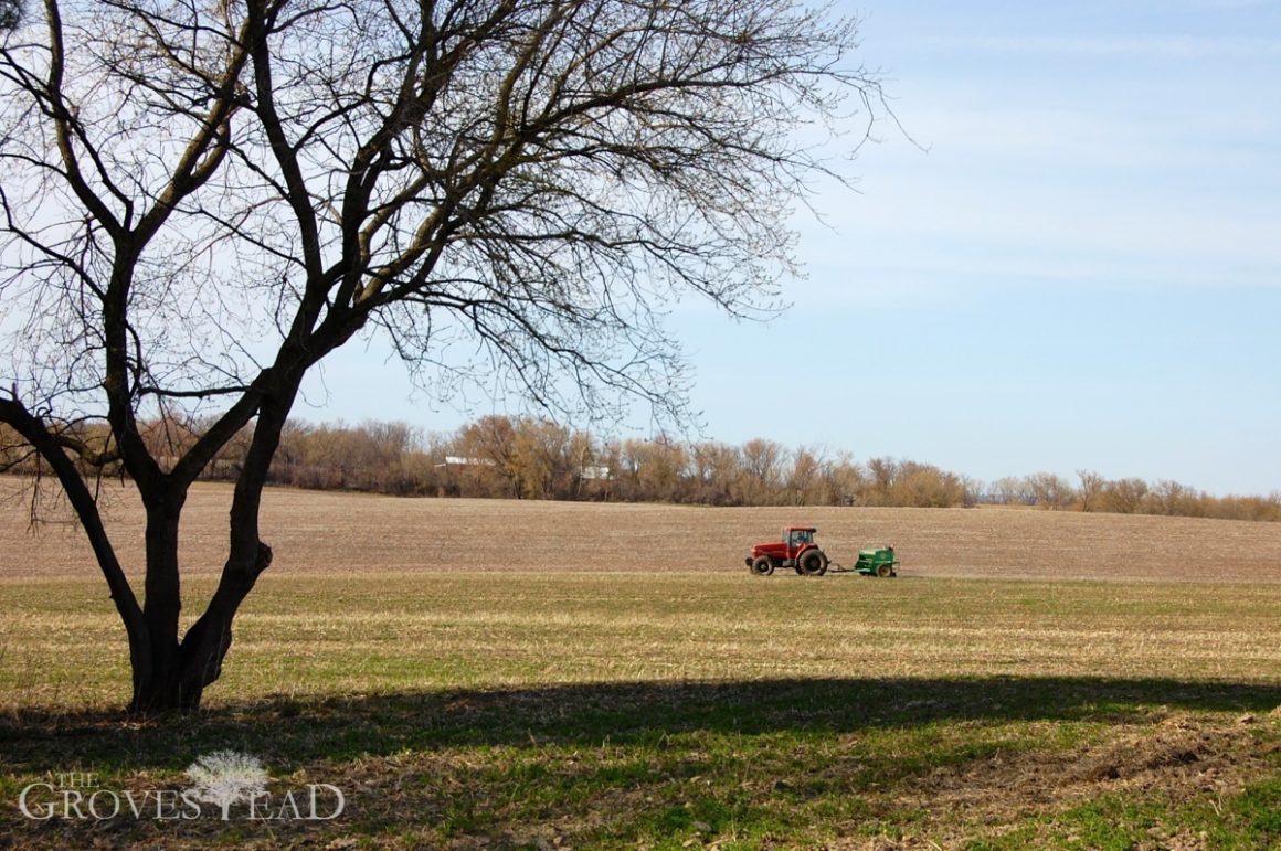 Tractor planting field