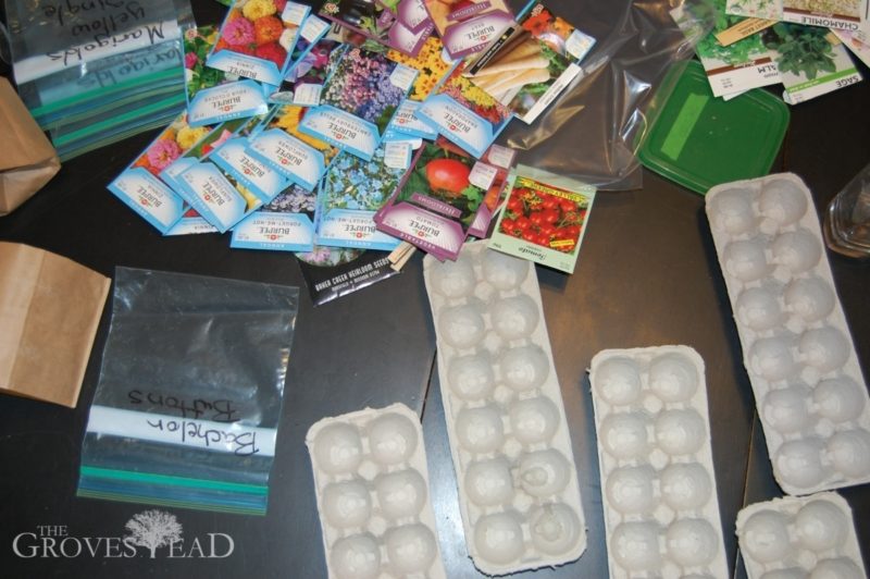 Seed packets and egg cartons for starting seedlings