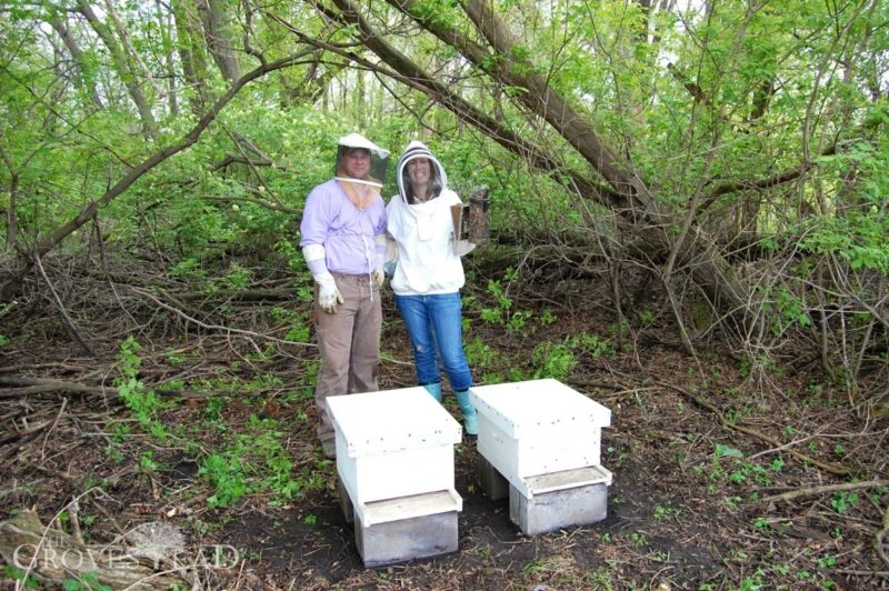 Finished moving the bees to their new home