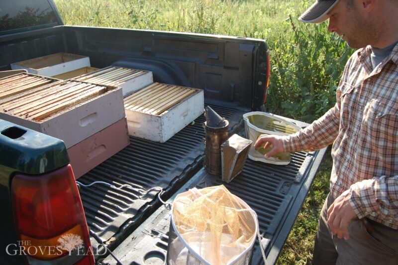 Last year's beekeeping setup