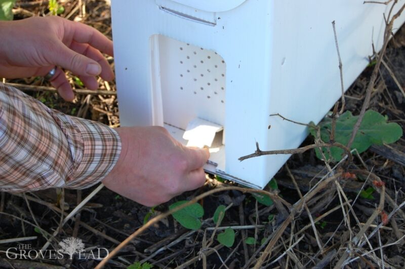 Open hatch on nuc hive