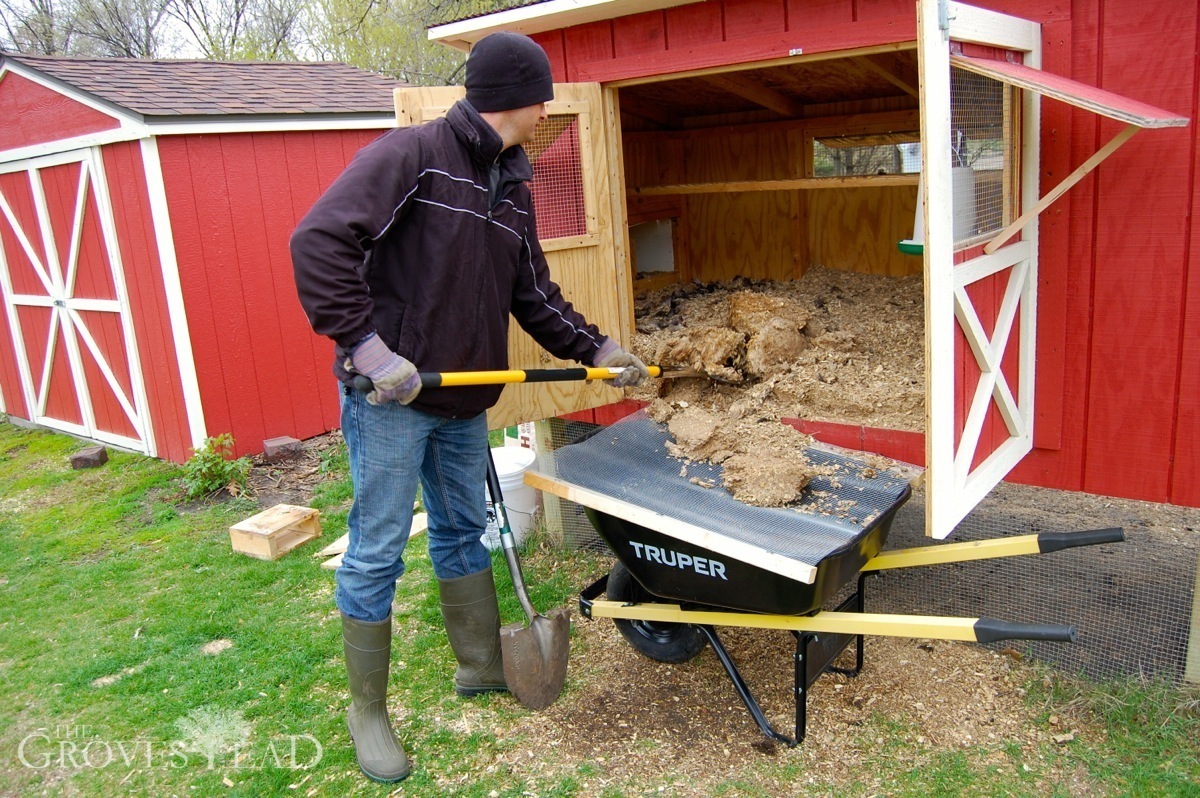 Person cleaning a chicken coop with a shovel and wheelbarrow