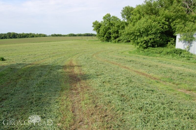 First cutting of our hay field