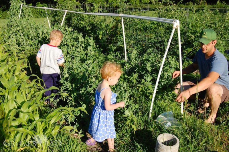 Ivar and Elsie picking sweet peas