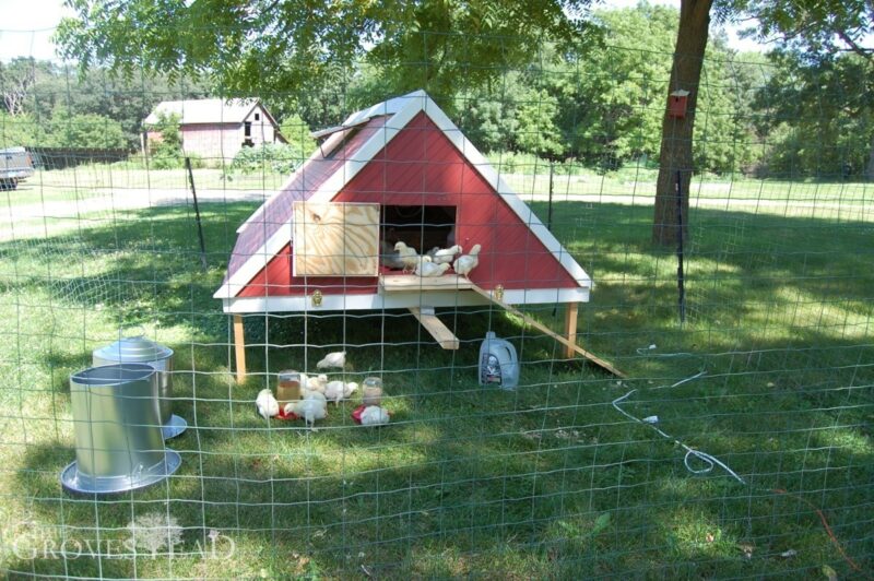 Mobile chicken coop