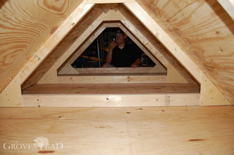 A view inside the chicken tractor