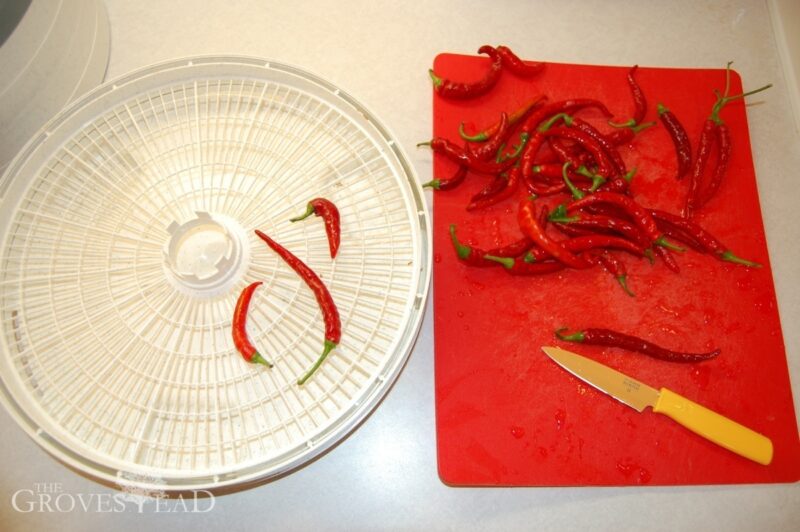 Cutting cayenne peppers to be dehydrated