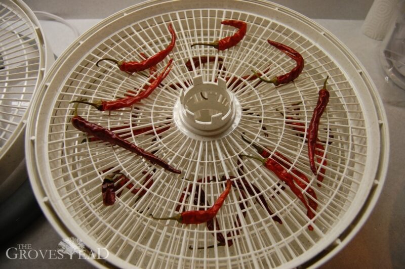 Cayenne peppers after being dehydrated