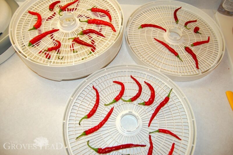 Cayenne peppers on dehydrator racks