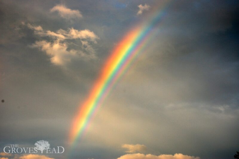 Rainbow in the distance