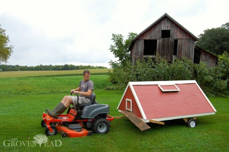 Moving the chicken coop