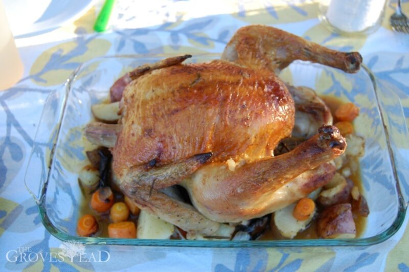 Oven-roasted chicken dinner with garden veggies
