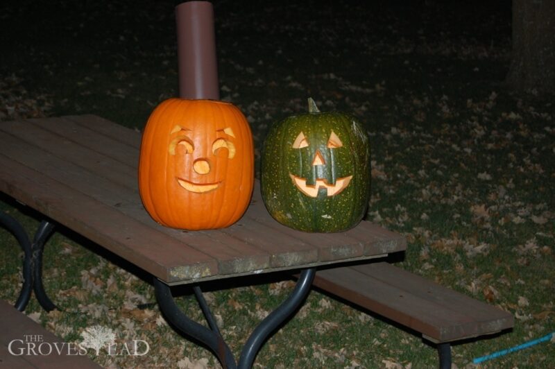 Orange and green pumpkins