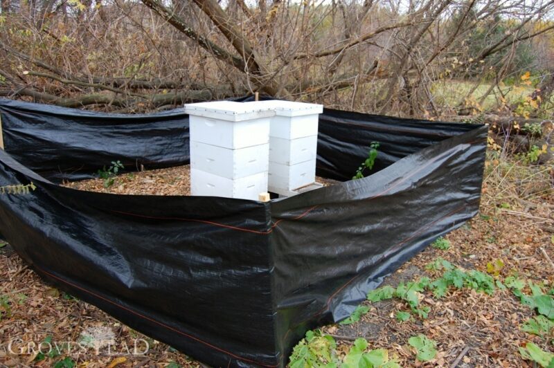 Siltfence around the hives to block snow and wind