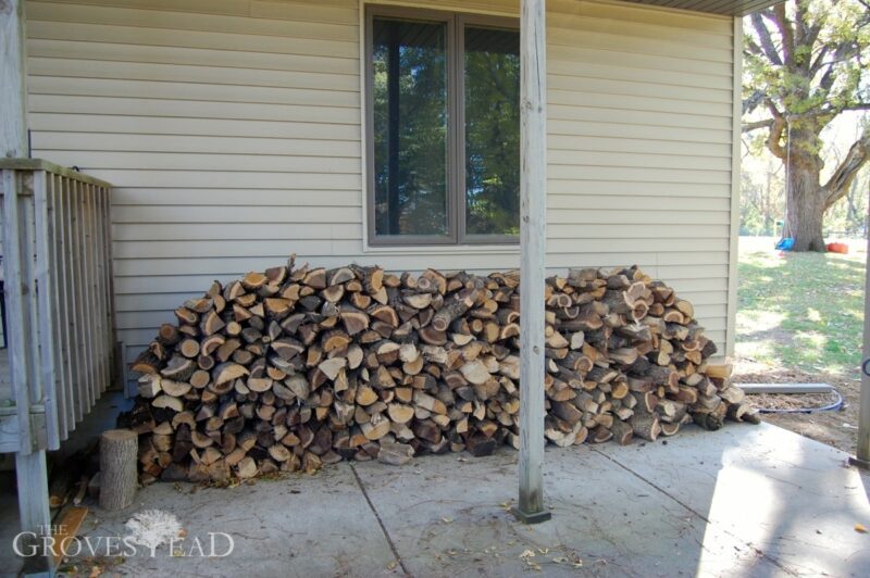 Beginnings of our wood pile