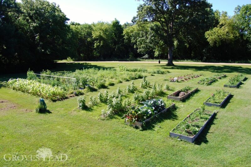 Garden in mid-July