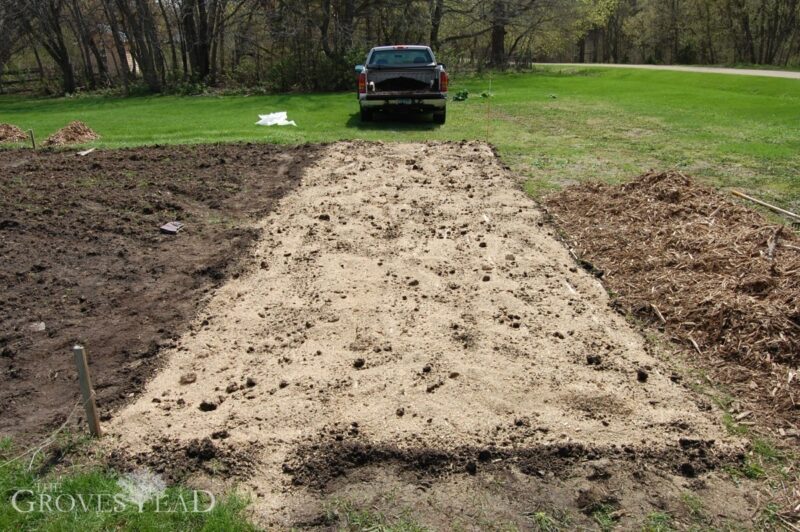 Added organic fertilizer to no-till garden plot