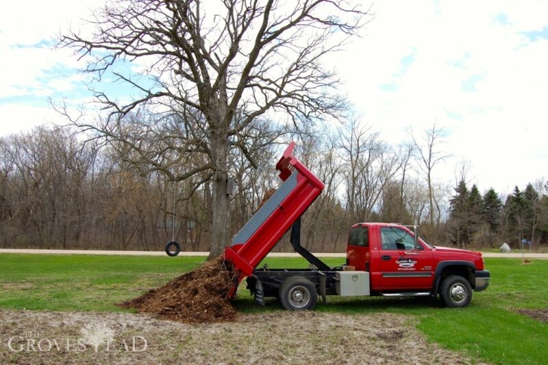 Dumptruck leaves giant pile of woodchips