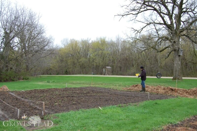 No-till garden plot