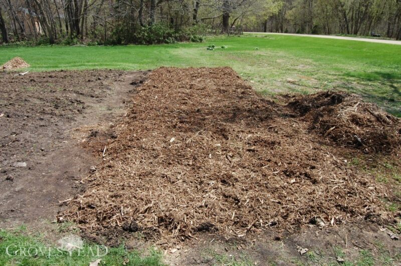 Woodchips spread over no-till garden plot