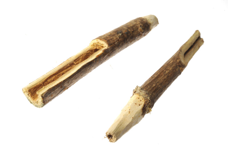 Wooden spiles were used  by Native Americans to draw sap from maple trees (Courtesy of osv.org)