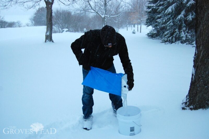 Emptying sacks into buckets to store