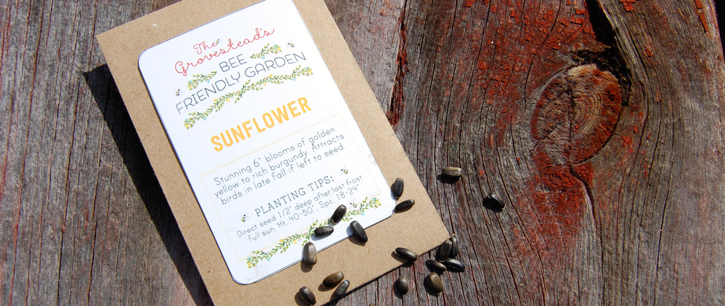 The Bee-Friendly Garden: Sunflower seeds