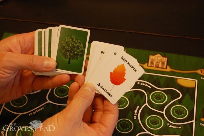 Game cards from Sugar Maple