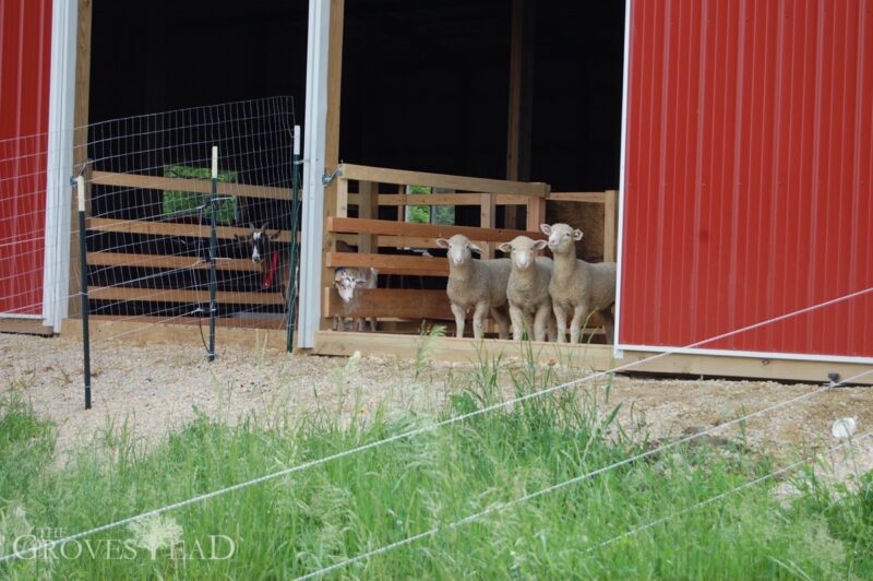 Good fences make good neighbors