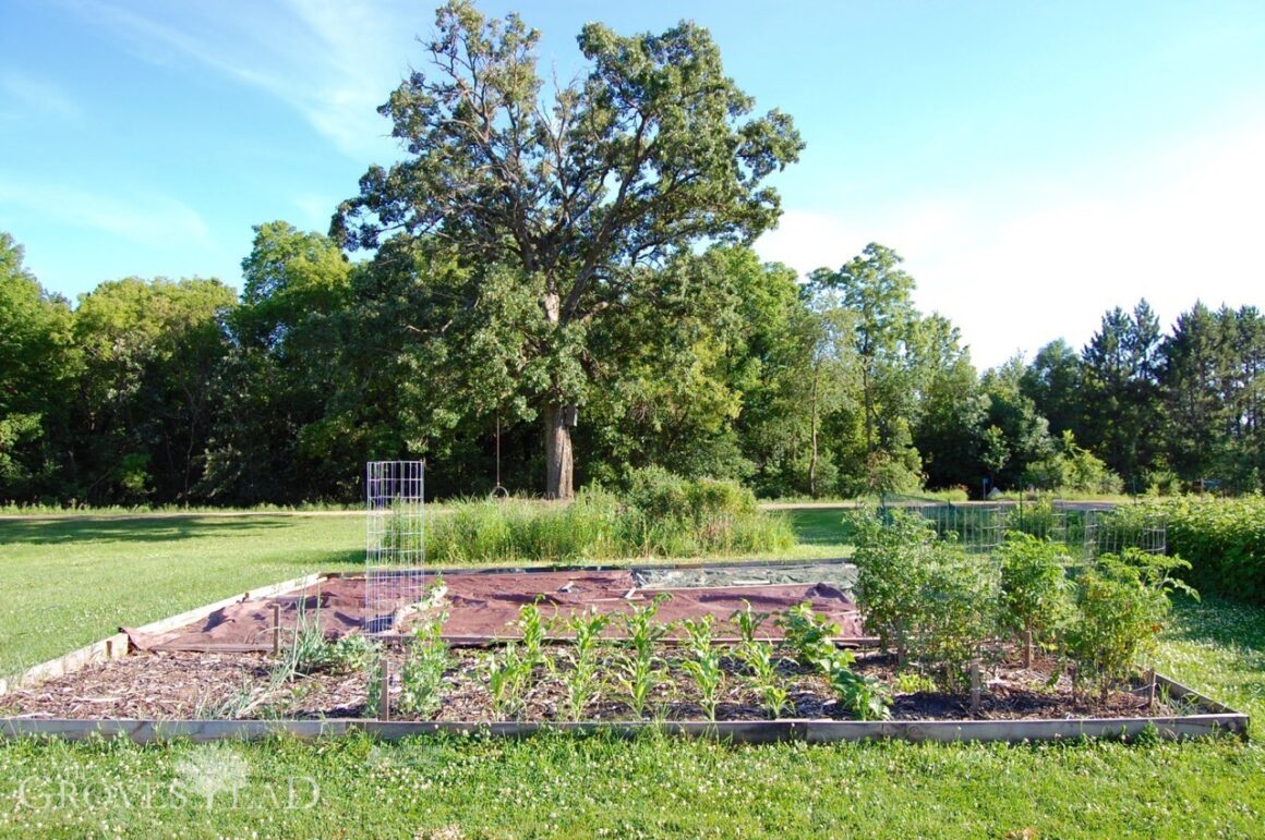 Garden plot as of July 2016