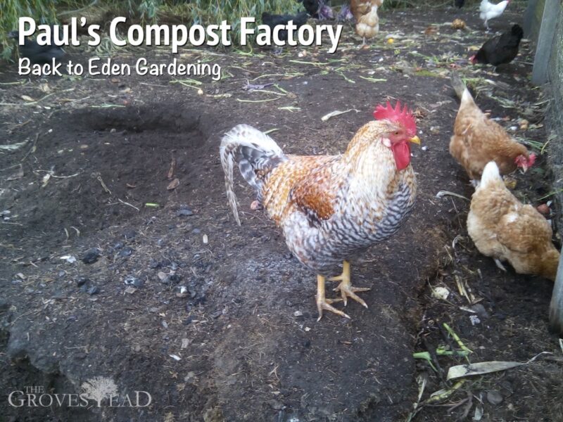 Paul Gautschi's Chicken Composting Factory