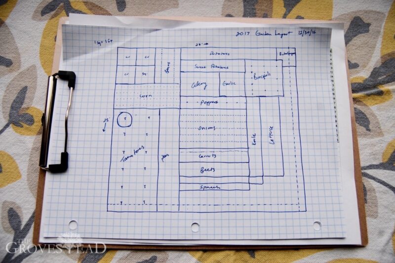 I used the area calculations for each vegetable to lay out the garden plot