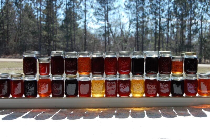 Abundant maple syrup in many colors