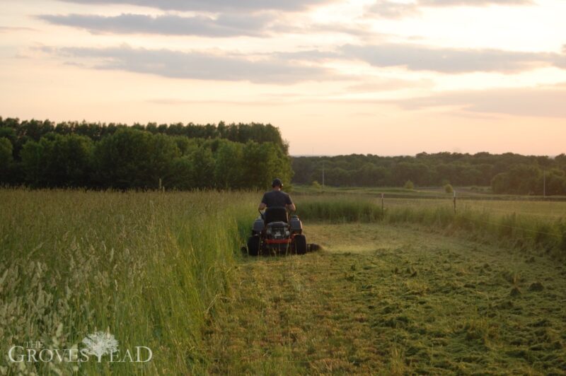 Mowing Tall Grasses