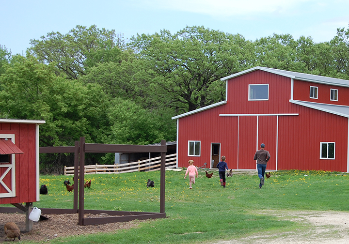 Running out to the barn