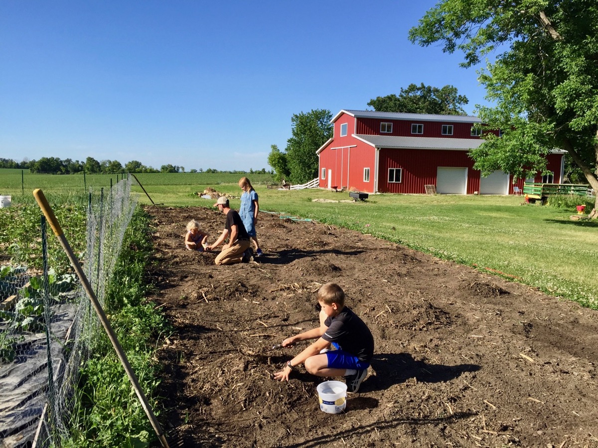 Will Work For Food: The Economics of Self-Sufficiency